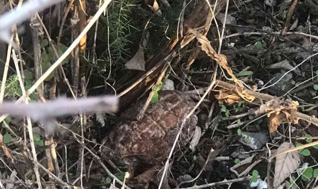 İznik'te göl kenarında el bombası bulundu