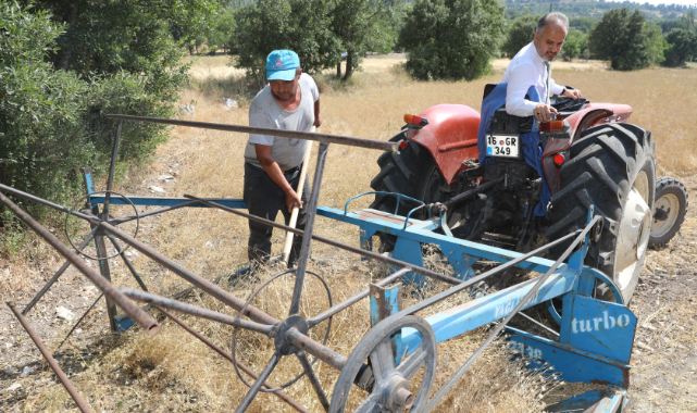 Siyez buğdayında hasat bereketi