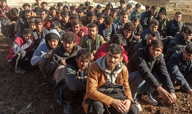 Van'da 188 düzensiz göçmen yakalandı