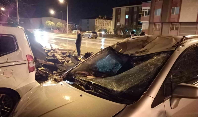 Balıkesir'de lodos yıktı, geçti