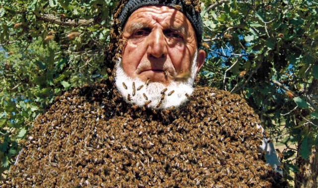 Üzerine 50 bin arı konuyor, maskesiz çalışıyor