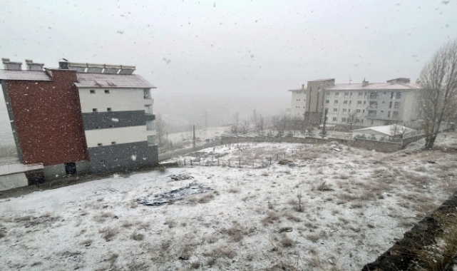 Bitlis'te kar etkili oldu
