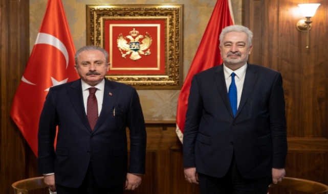 TBMM Başkanı Şentop, Karadağ Başbakanı Krivokapiç ile görüştü