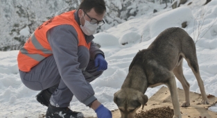 Can dostlarına 'Yıldırım' şefkat
