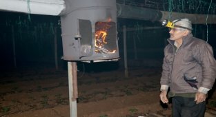 Fethiye'de çiftçilerin 