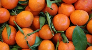 Narenciye sektörü, bahçe ile market arasındaki yüksek fiyat farkından şikayetçi