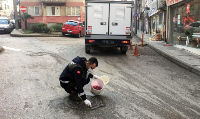 Osmangazi’de haşerelere karşı ilaçlama