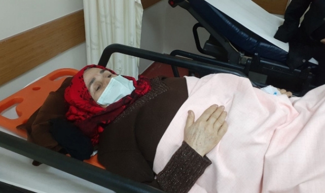 Sokak köpeklerinin saldırısına uğrayan kadın yaralandı
