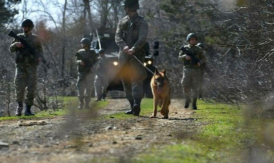 Yunanistan'a kaçarken yakalanan PKK şüphelisi tutuklandı