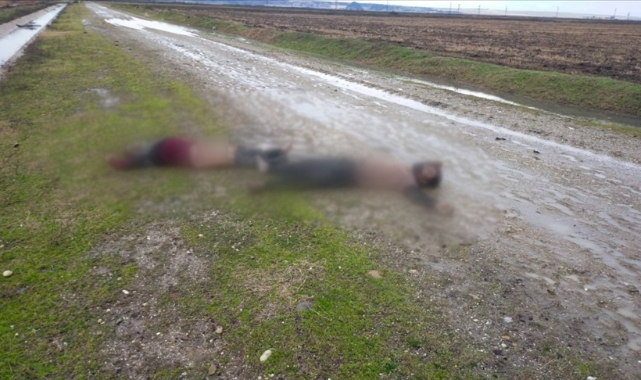 BM'den 'Yunanistan'ın düzensiz göçmenleri geri itmesine' yönelik acil soruşturma çağrısı
