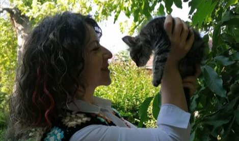 Ölen hamile kedinin karnını açıp yavrularını kurtardı