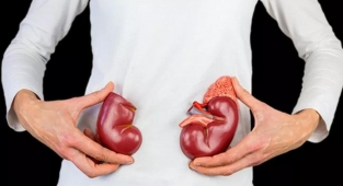 Böbreğin Görevleri Nelerdir? Böbrek Vücutta Ne İşe Yarar?