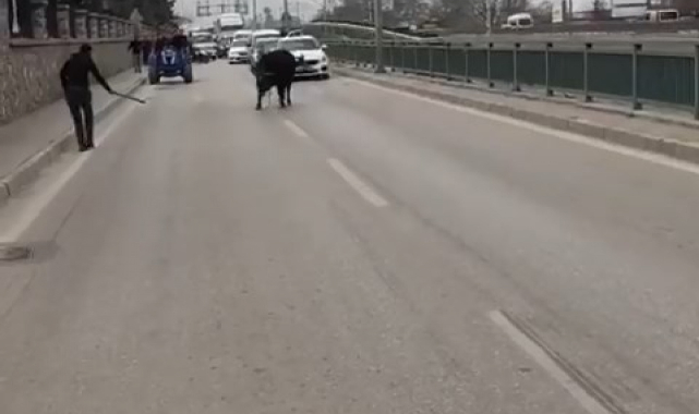 Burası İspanya değil Bursa!