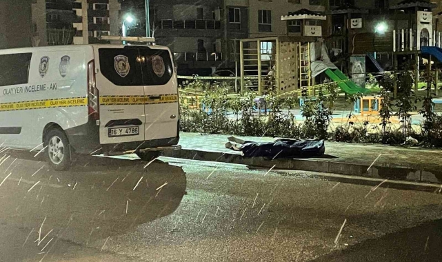 Bursa'da kadın hakim, çocuk parkında iple asılı halde ölü bulundu