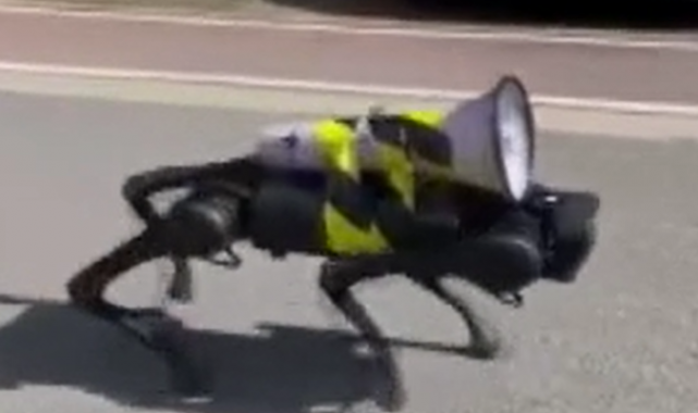 Çin'de sokaklarda dolaşan robot köpek gündem oldu! Tam 16 bin dolar