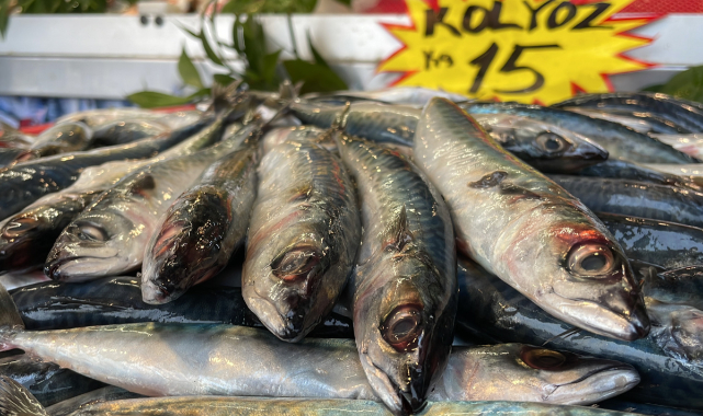 Kilosu 15 lira, kapış kapış satılıyor