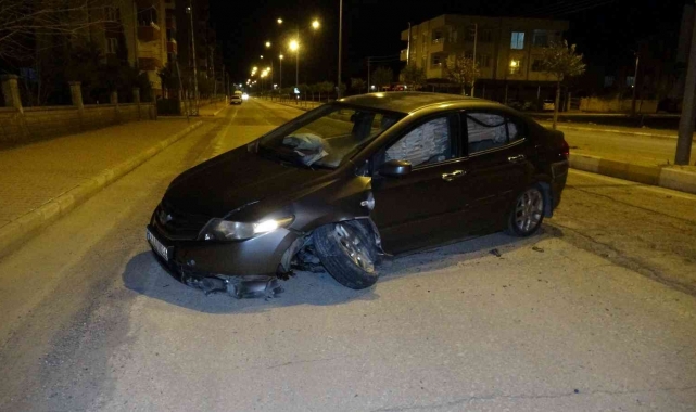 Köpeğe çarpmamak için refüje çarptı