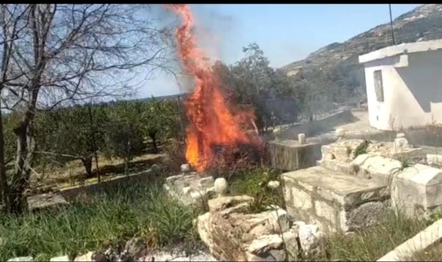 Mezarlık yangını korkuttu