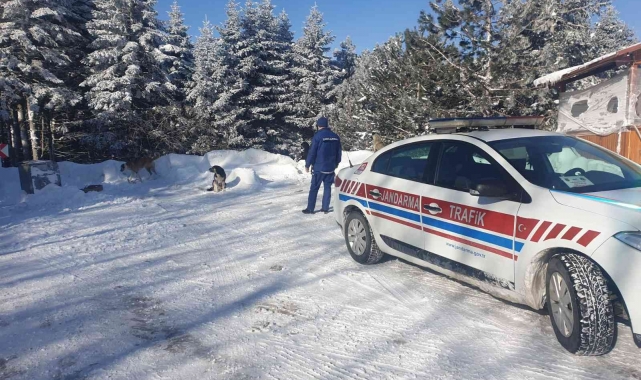 Uludağ'da aç kalan köpeklere jandarma şefkati