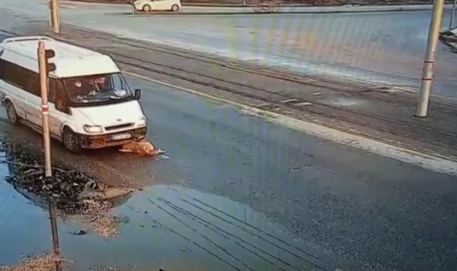Yaralı köpeğe akıl almaz muamele
