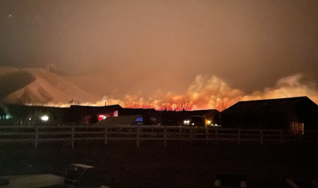 Arizona'da orman yangını şiddetli rüzgarın etkisiyle giderek yayılıyor