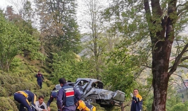 Artvin'de trafik kazası: 1 ölü, 3 yaralı