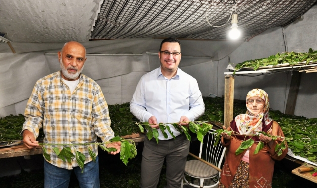 Bursa ipeği Mustafakemalpaşa'da kozalarından doğuyor