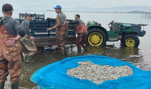 İznik Gölü'nde gümüş balığı sezonu açıldı