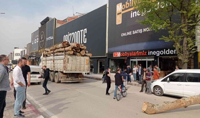 Kamyonun üzerinden düşen tomruk üç aracı ezdi
