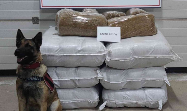 Yolcu otobüsünde 252 kilogram kaçak tütün ele geçirildi