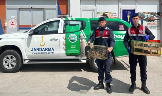 Yolcu otobüsünden 63 sincap yavrusu çıktı! 3 kişiye 327 bin lira idari para cezası