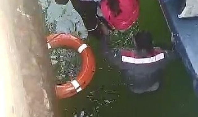 Feribottan inip iskelede dolaşırken denize düşen çocuğu görevli personel kurtardı