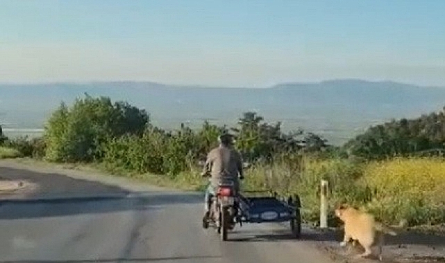 Köpeği motosikletin arkasına bağlayıp sürükledi !