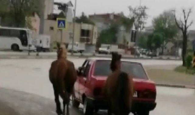 O sürücüye ceza yağdı