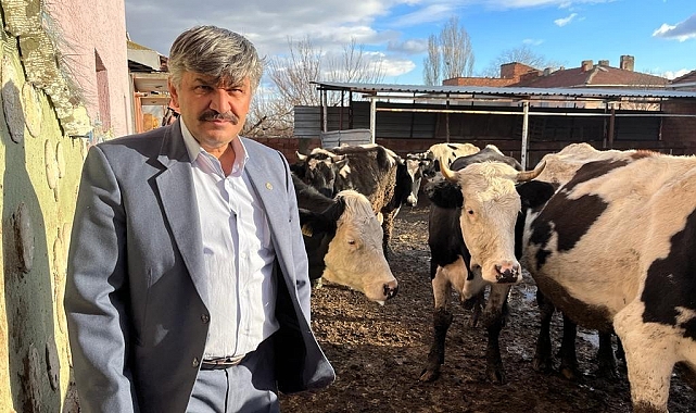 Süte gelen zamdan sonra yem fiyatları da yükseldi
