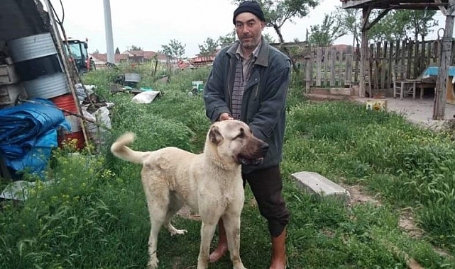 Bir kişinin öldüğü koyun otlatma kavgasında gözaltına alınan baba oğul tutuklandı