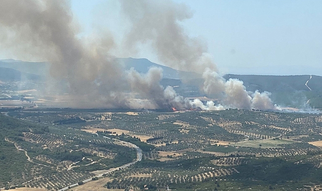 Foça'da orman yangını