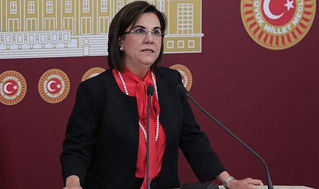 Gazeteci Gürkan Hacır: Memleket Partisi Genel Başkan Vekili Gaye Usluer ve 5 PM üyesi istifa etti