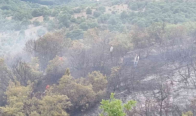 Pazaryeri ilçesinde orman yangını