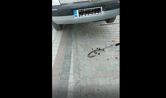 Aracın aksına giren yılan operasyon ile çıkarıldı