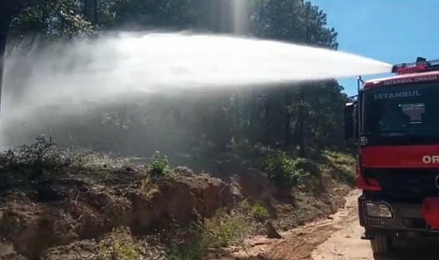 Aydos Ormanı'nın iki farklı noktasında çıkan yangın söndürüldü