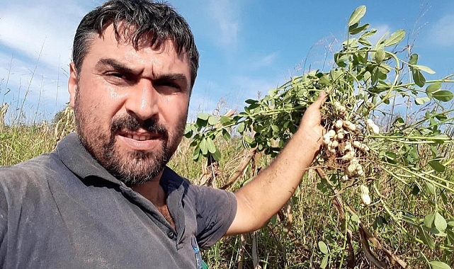 Bayram günü kardeş cinayeti