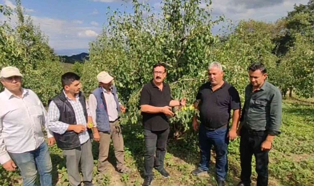Dolu İnegöl'de 20 milyon liralık zarara yol açtı