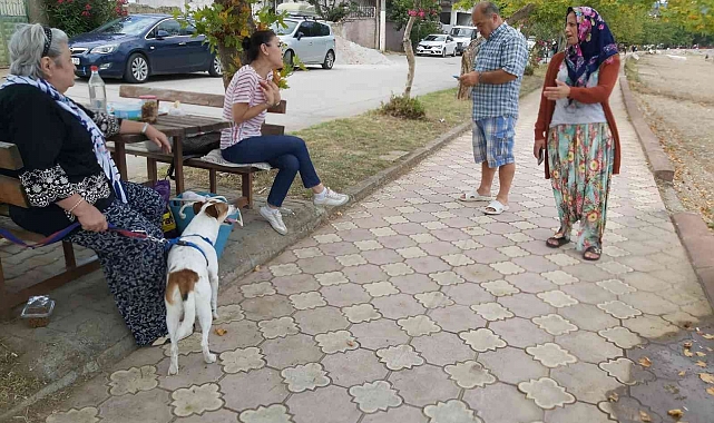Genç kız köpeğin saldırısına uğradı