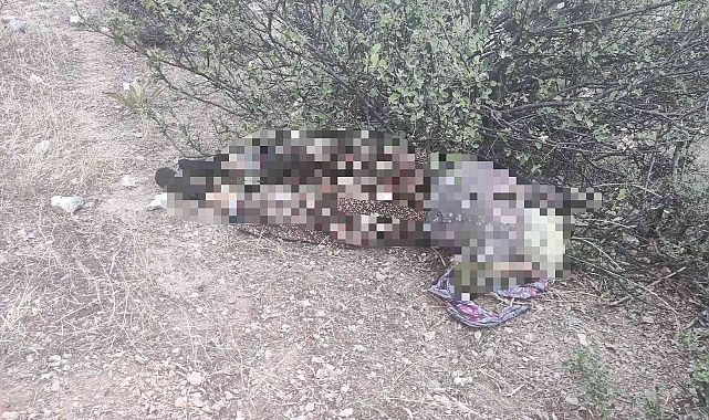 Kayıp olarak aranıyordu acı haber geldi