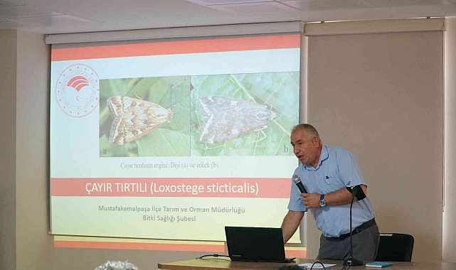 Mustafakemalpaşa'da dronlar çayır tırtılları için yükselecek