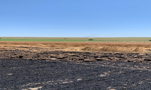 Tekirdağ'da 130 dönüm tarım alanı yandı
