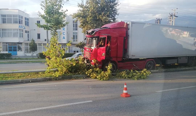 Bursa'da kontrolden çıkar tırı, ağaçlar durdurdu