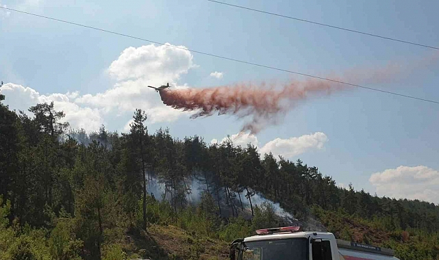 Bursa'da orman yangını için müthiş seferberlik...Yangın kontrol altında