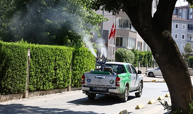 Bursa'da sinekle kesintisiz mücadele
